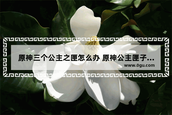 原神三个公主之匣怎么办 原神公主匣子攻略
