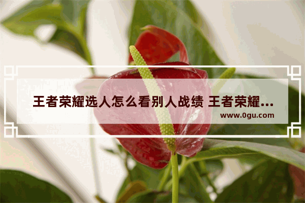 王者荣耀选人怎么看别人战绩 王者荣耀查询别人战绩