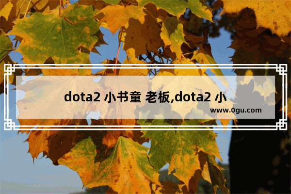 dota2 小书童 老板,dota2 小书童 老板