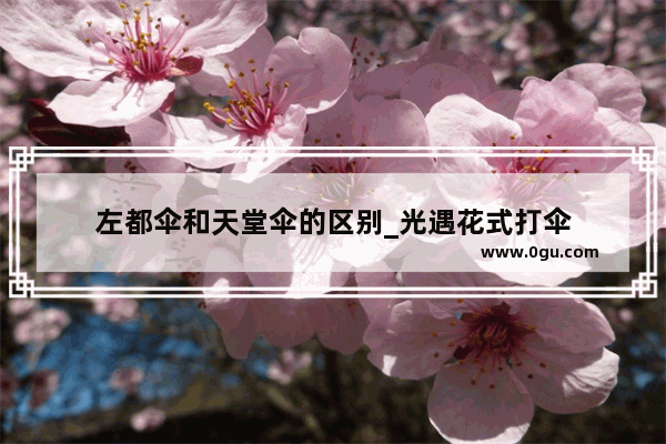 左都伞和天堂伞的区别_光遇花式打伞