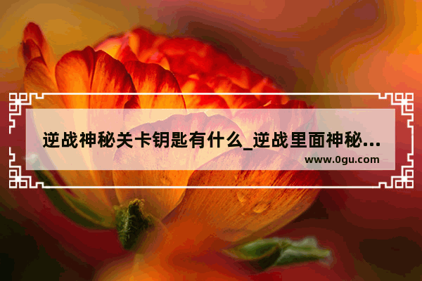 逆战神秘关卡钥匙有什么_逆战里面神秘关卡钥匙怎么用啊