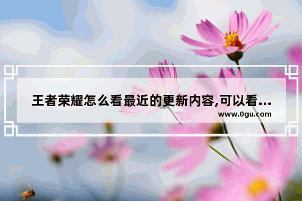 王者荣耀怎么看最近的更新内容,可以看的王者荣耀