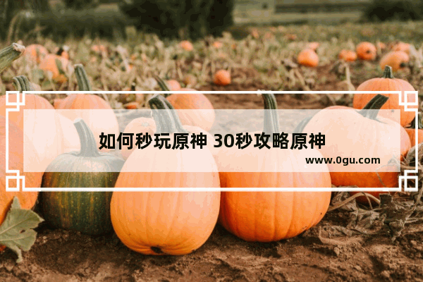 如何秒玩原神 30秒攻略原神