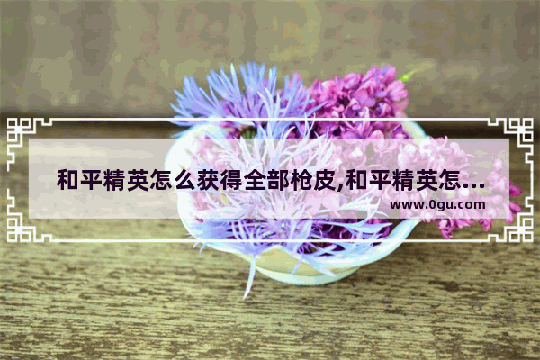 和平精英怎么获得全部枪皮,和平精英怎么得到全部皮肤