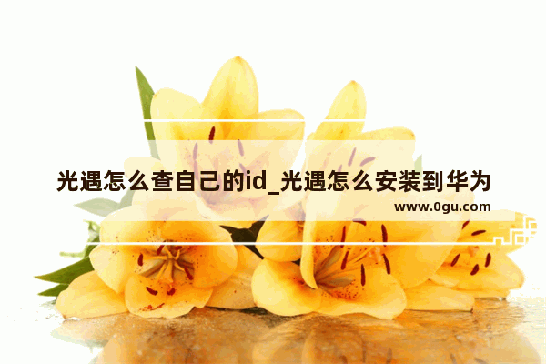 光遇怎么查自己的id_光遇怎么安装到华为平板上