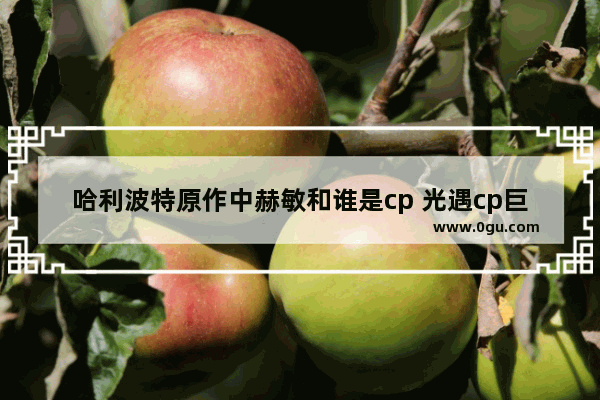 哈利波特原作中赫敏和谁是cp 光遇cp巨头