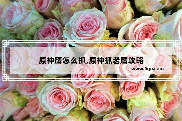 原神鹰怎么抓,原神抓老鹰攻略