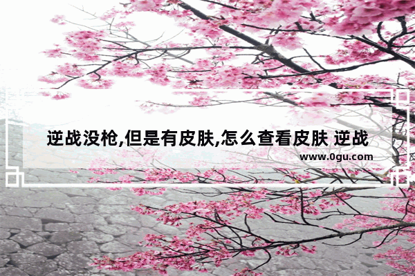 逆战没枪,但是有皮肤,怎么查看皮肤 逆战光效太多