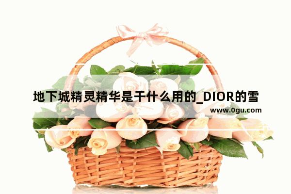 地下城精灵精华是干什么用的_DIOR的雪精灵夜间密集修护精华怎么用