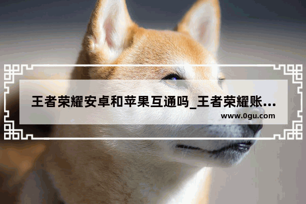 王者荣耀安卓和苹果互通吗_王者荣耀账号苹果和安卓通用吗