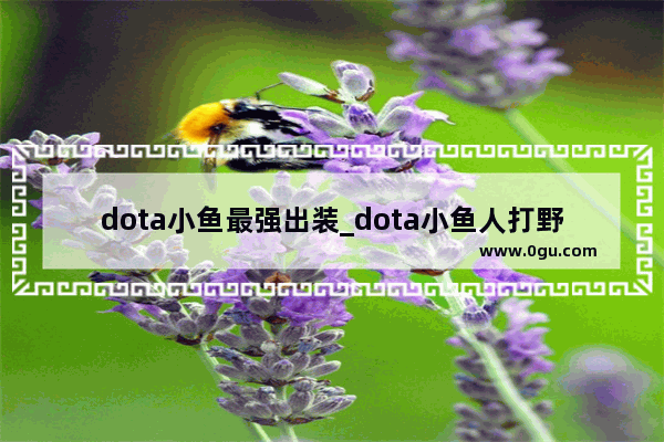 dota小鱼最强出装_dota小鱼人打野出装