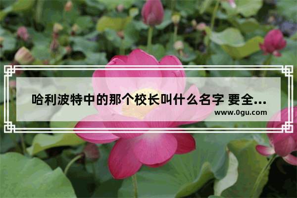 哈利波特中的那个校长叫什么名字 要全名的_哈利波特录取通知书内容