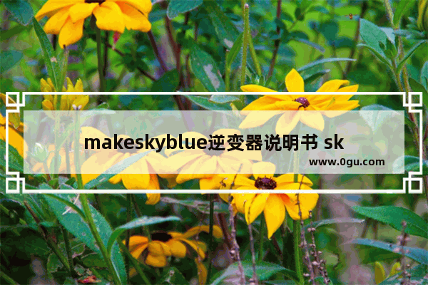 makeskyblue逆变器说明书 sky 光遇温