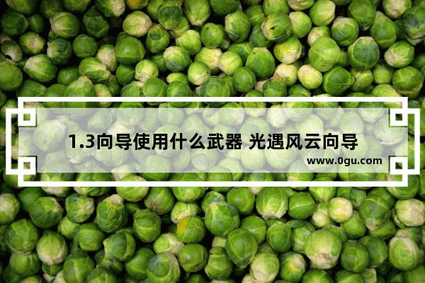 1.3向导使用什么武器 光遇风云向导