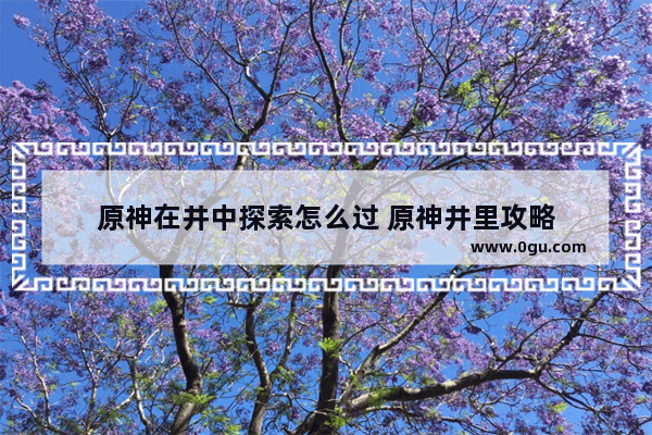 原神在井中探索怎么过 原神井里攻略