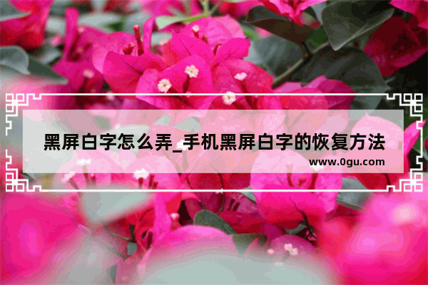 黑屏白字怎么弄_手机黑屏白字的恢复方法