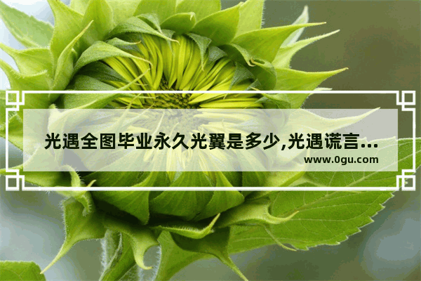 光遇全图毕业永久光翼是多少,光遇谎言解析