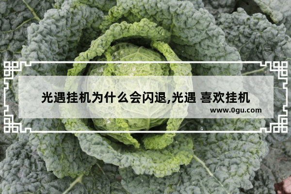光遇挂机为什么会闪退,光遇 喜欢挂机