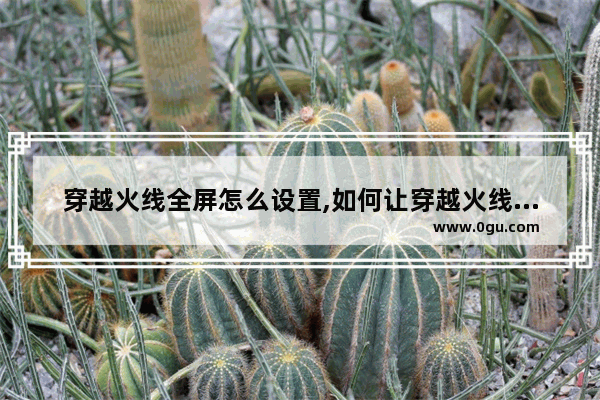 穿越火线全屏怎么设置,如何让穿越火线全屏