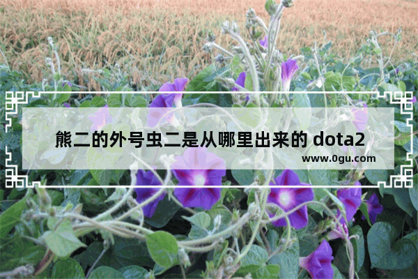 熊二的外号虫二是从哪里出来的 dota2绰号