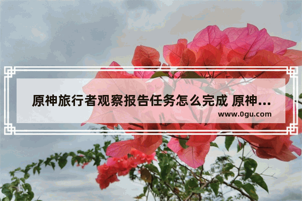 原神旅行者观察报告任务怎么完成 原神观察博士攻略