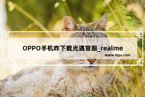 OPPO手机咋下载光遇官服_realme光遇是什么oppo服