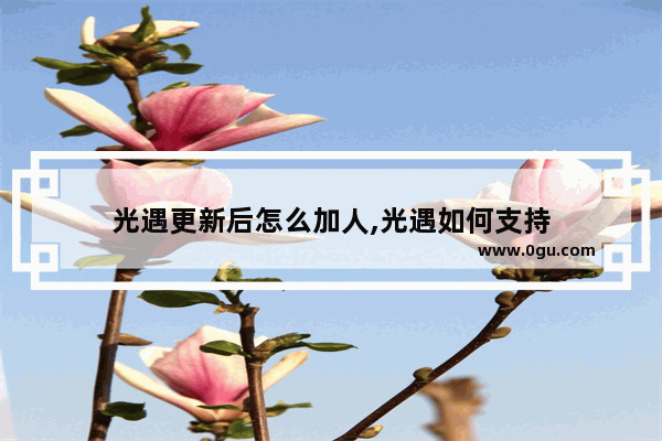 光遇更新后怎么加人,光遇如何支持