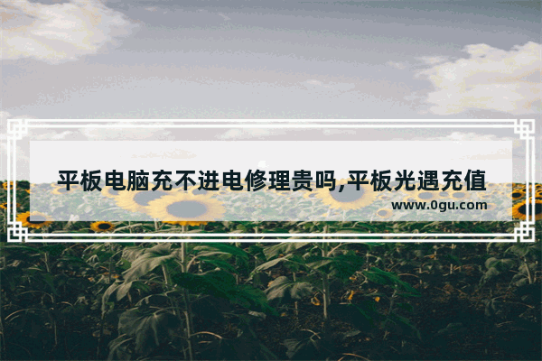 平板电脑充不进电修理贵吗,平板光遇充值