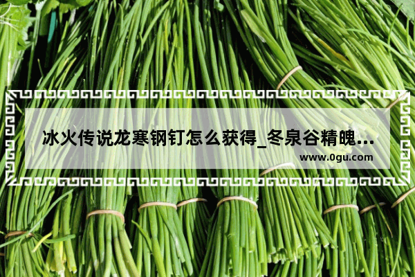冰火传说龙寒钢钉怎么获得_冬泉谷精魄有哪些效果