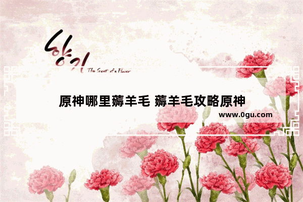 原神哪里薅羊毛 薅羊毛攻略原神