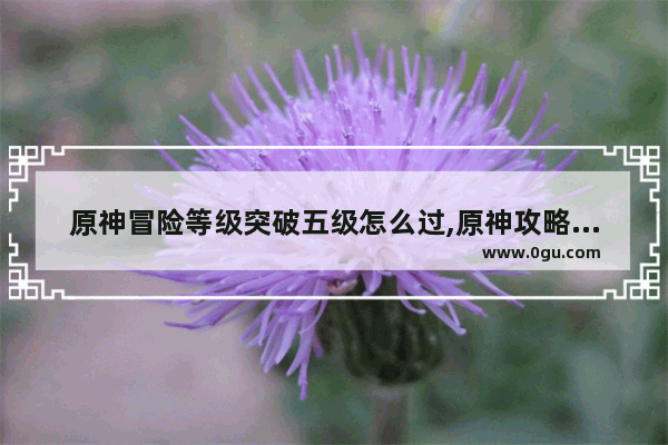原神冒险等级突破五级怎么过,原神攻略五级