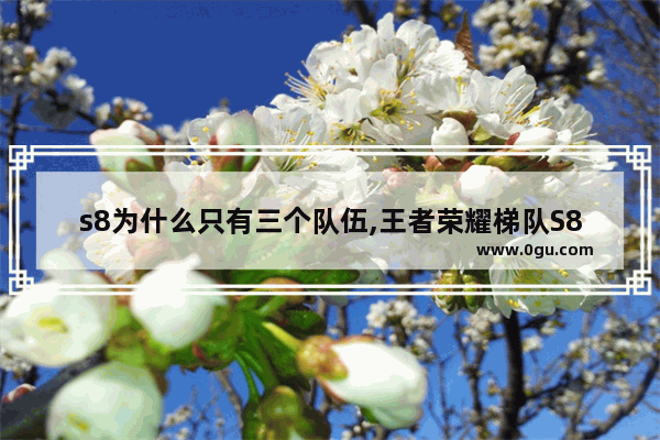 s8为什么只有三个队伍,王者荣耀梯队S8