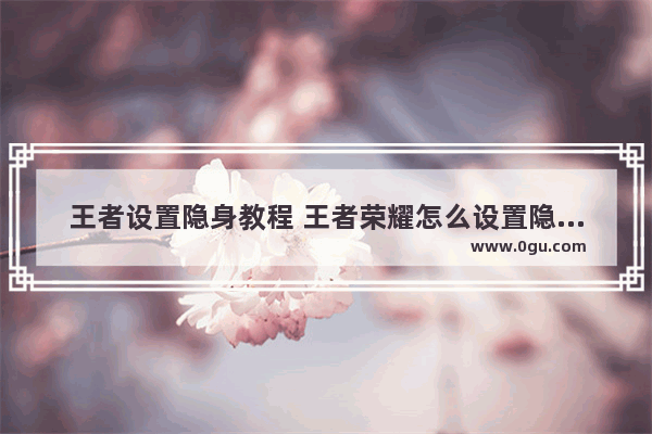 王者设置隐身教程 王者荣耀怎么设置隐身状态