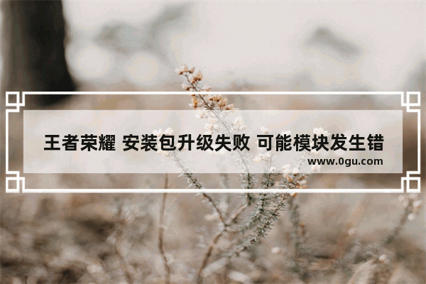王者荣耀 安装包升级失败 可能模块发生错误怎么回事儿 王者荣耀安装包升级失败
