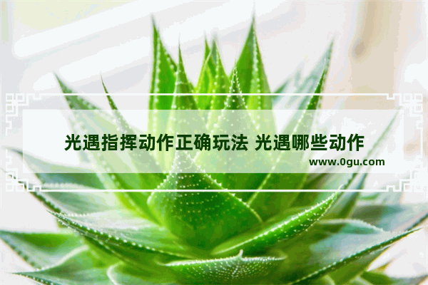 光遇指挥动作正确玩法 光遇哪些动作