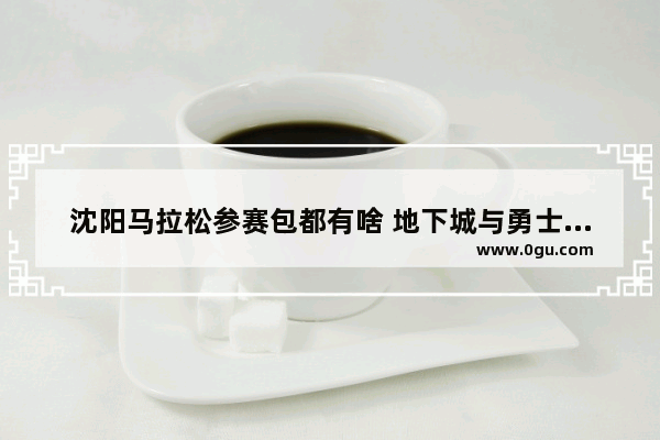 沈阳马拉松参赛包都有啥 地下城与勇士拳套名字大全