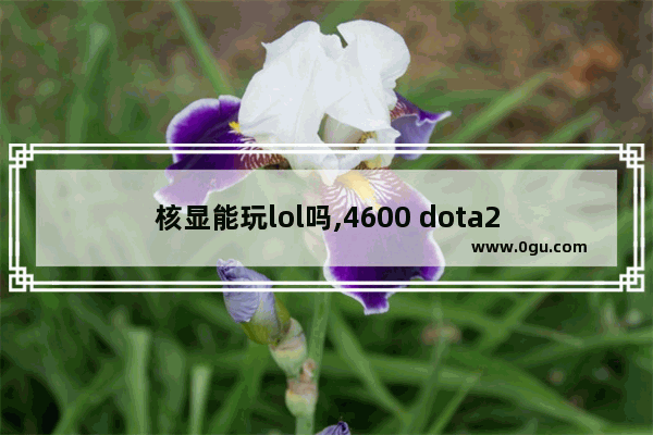 核显能玩lol吗,4600 dota2