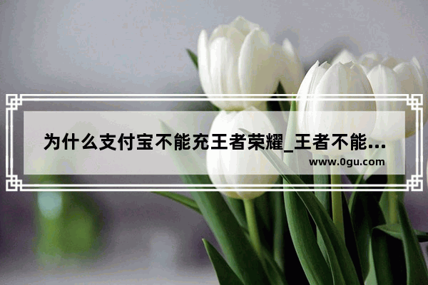 为什么支付宝不能充王者荣耀_王者不能用支付宝支付吗