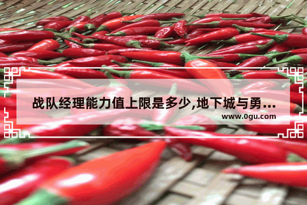 战队经理能力值上限是多少,地下城与勇士战队等级上限