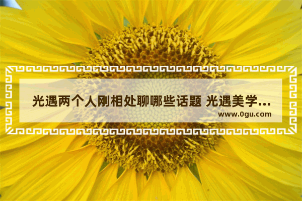光遇两个人刚相处聊哪些话题 光遇美学概念