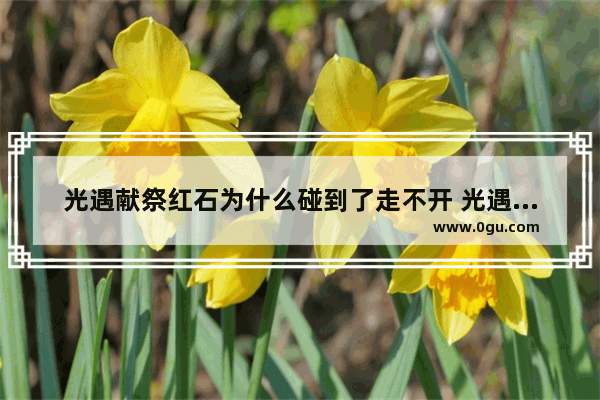 光遇献祭红石为什么碰到了走不开 光遇火炉bug