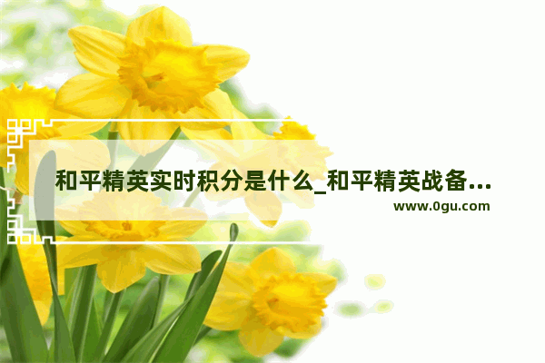 和平精英实时积分是什么_和平精英战备积分是干嘛的