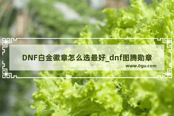 DNF白金徽章怎么选最好_dnf图腾勋章哪个好