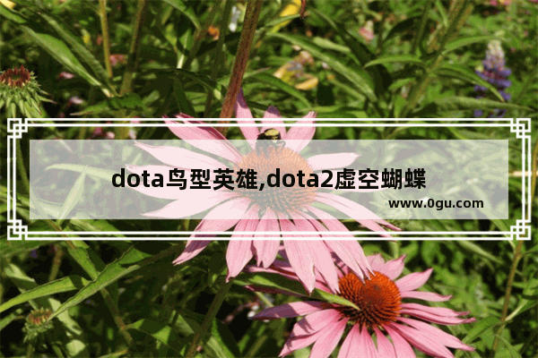 dota鸟型英雄,dota2虚空蝴蝶