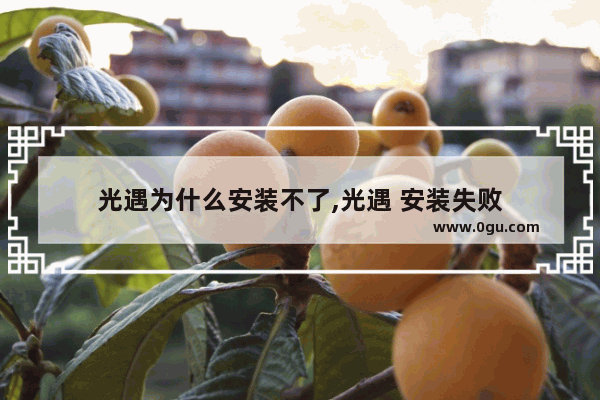 光遇为什么安装不了,光遇 安装失败