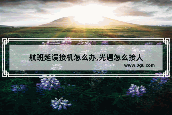 航班延误接机怎么办,光遇怎么接人