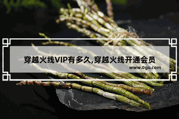 穿越火线VIP有多久,穿越火线开通会员
