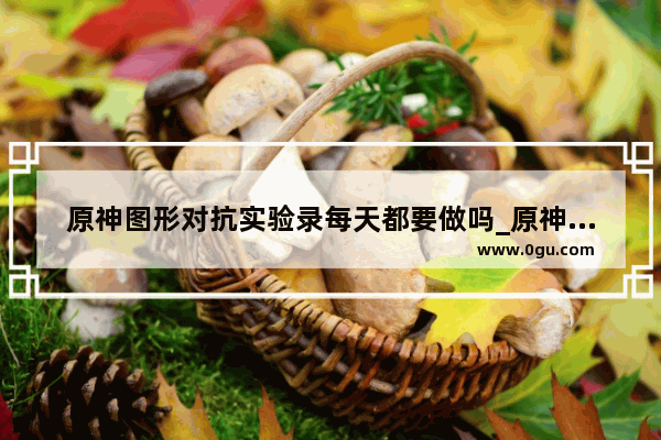 原神图形对抗实验录每天都要做吗_原神图形对抗实验录第一天怎么做