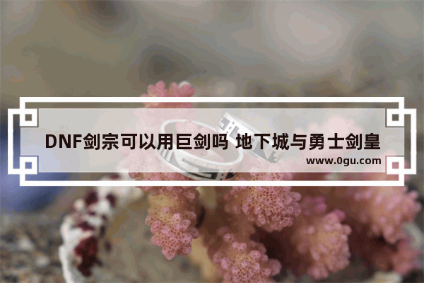 DNF剑宗可以用巨剑吗 地下城与勇士剑皇细节
