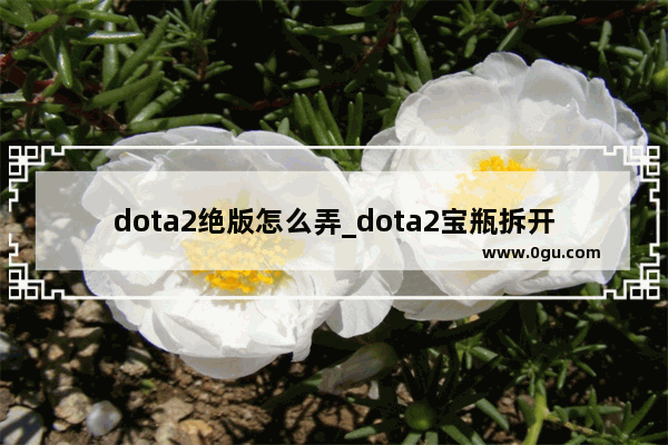 dota2绝版怎么弄_dota2宝瓶拆开后会怎么样